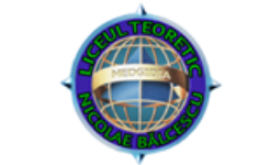 LICEUL TEORETIC N.BALCESCU MEDGIDIA