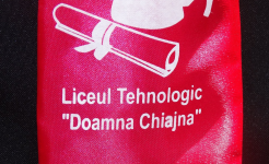LICEUL TEHNOLOGIC DOAMNA CHIAJNA