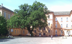 LICEUL TIMOTEI CIPARIU DUMBRAVENI