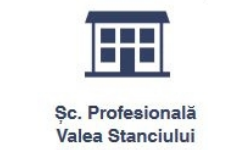 SCOALA PROFESIONALA VALEA STANCIULUI